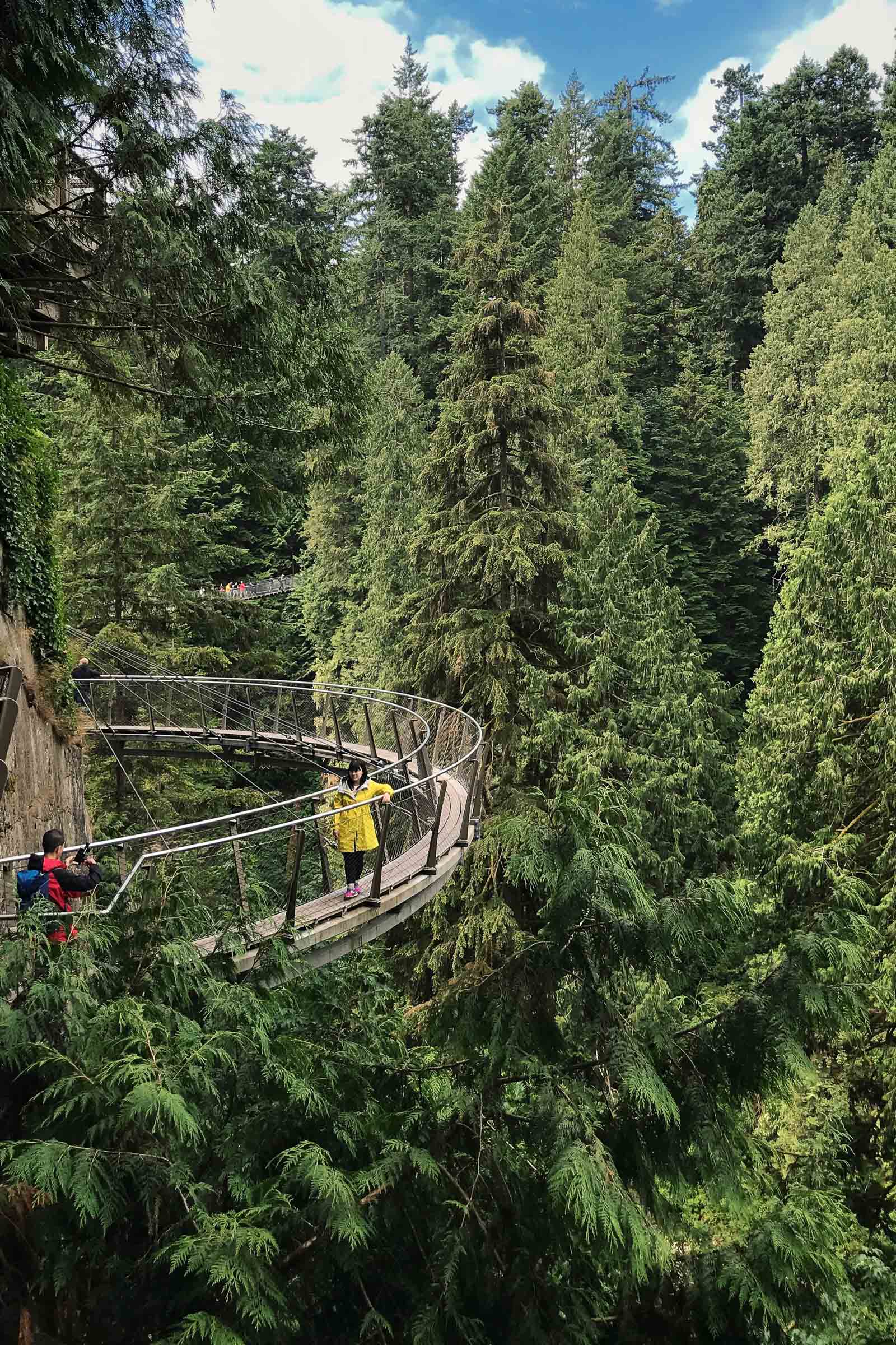 Tourists pause on a forest walking bridge in Vancouver-BC-Travel