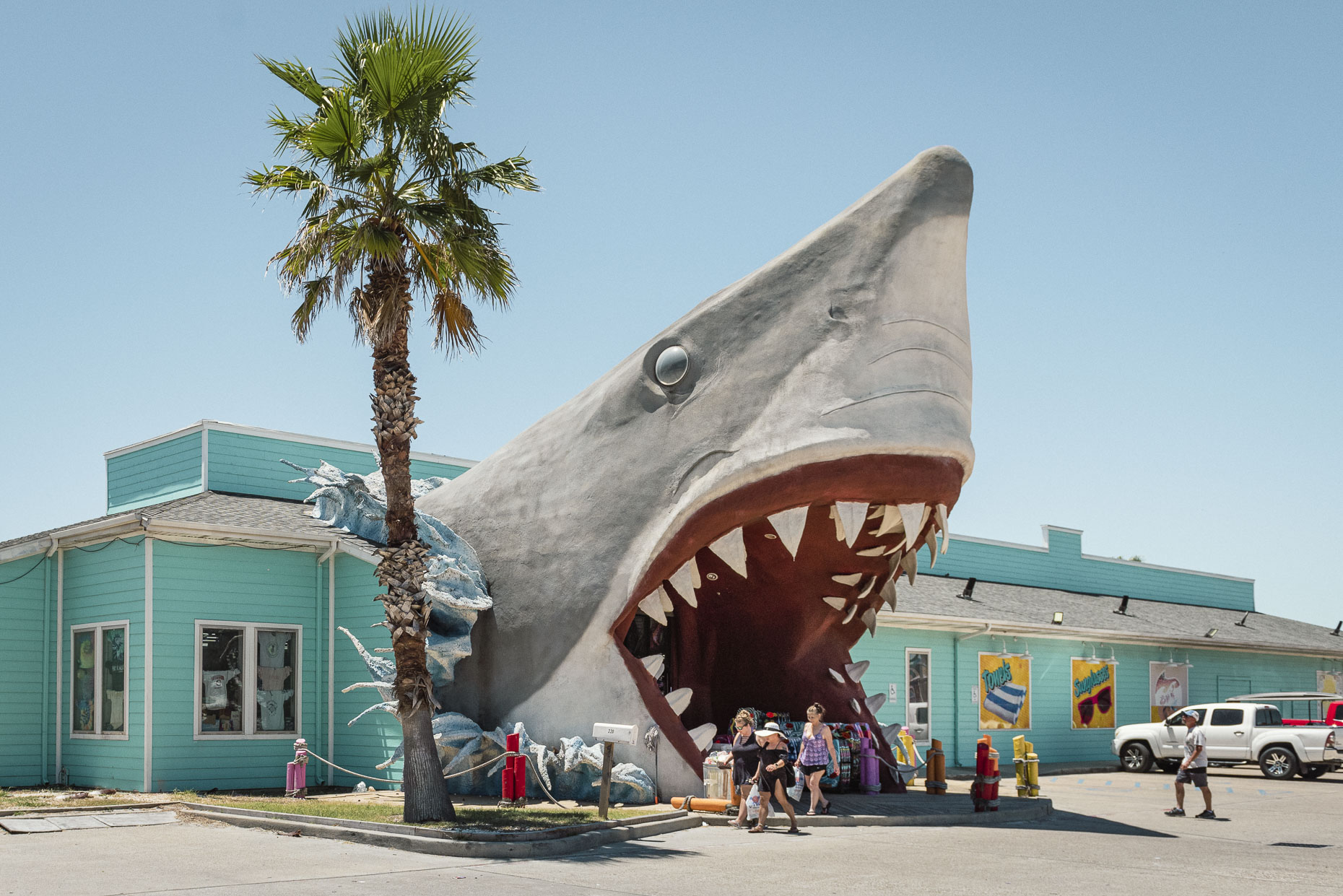 Port-Aransas-Shark-Shop